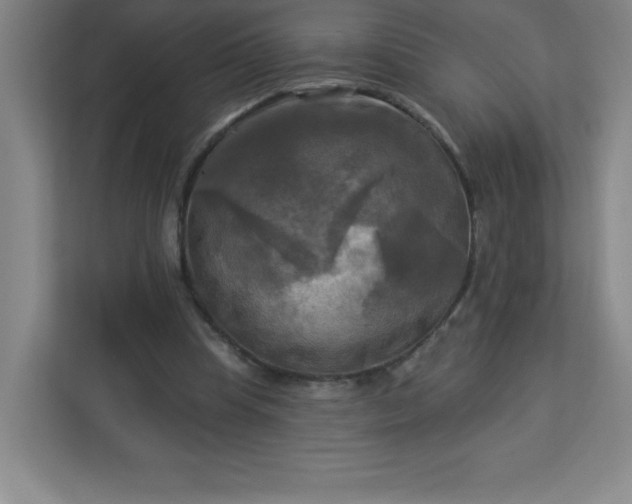 X0000113300345200909281109