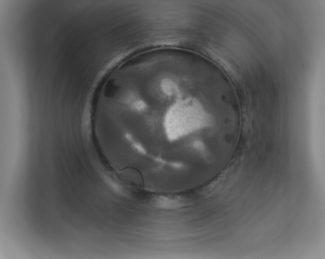 X0000113300346200909281109