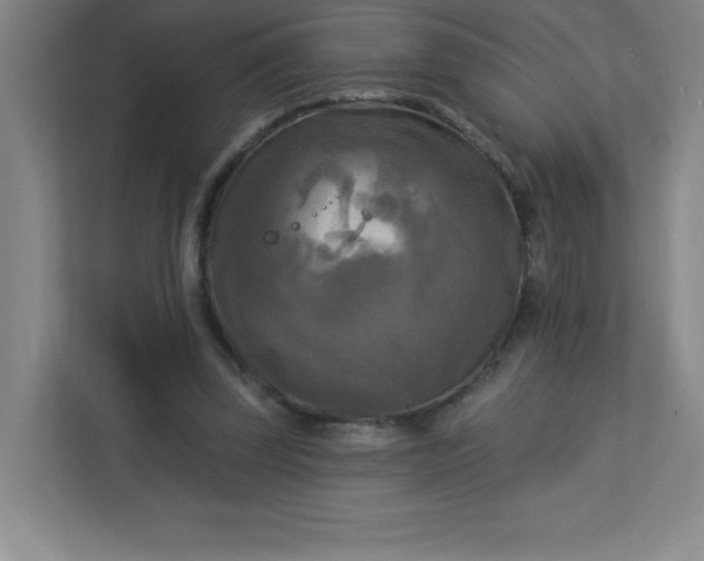 X0000113300347200909281109