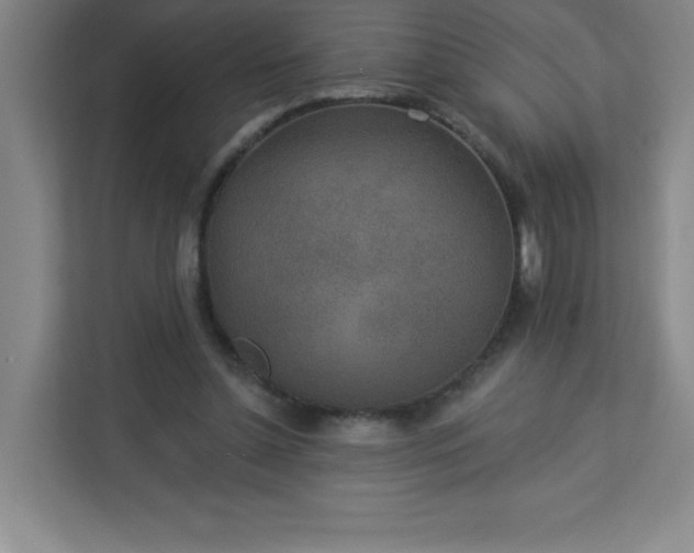 X0000113300348200909281109