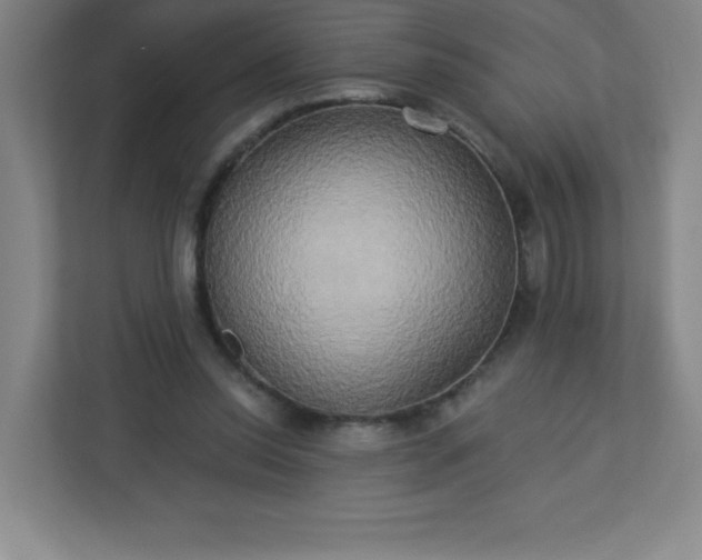 X0000113300350200909281109