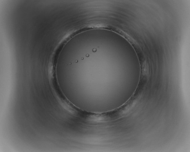 X0000113300351200909281109