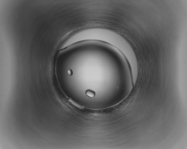 X0000113300352200909281109