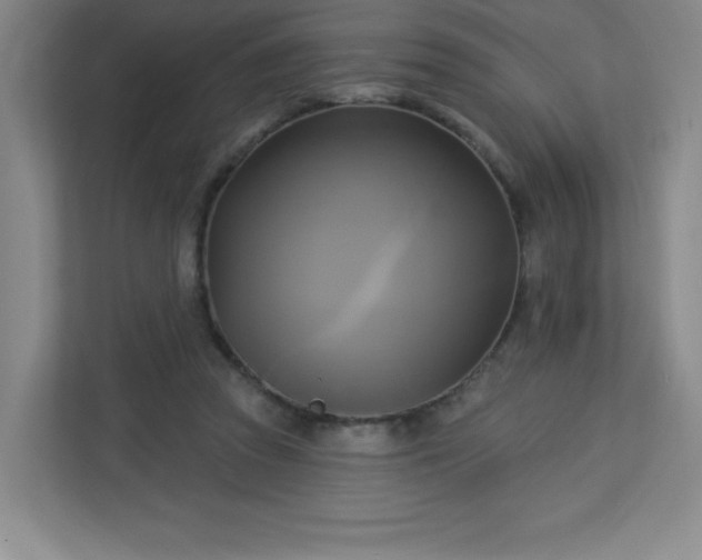 X0000113300353200909281109