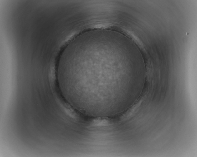 X0000113300354200909281109