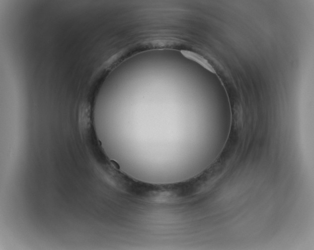 X0000113300356200909281109