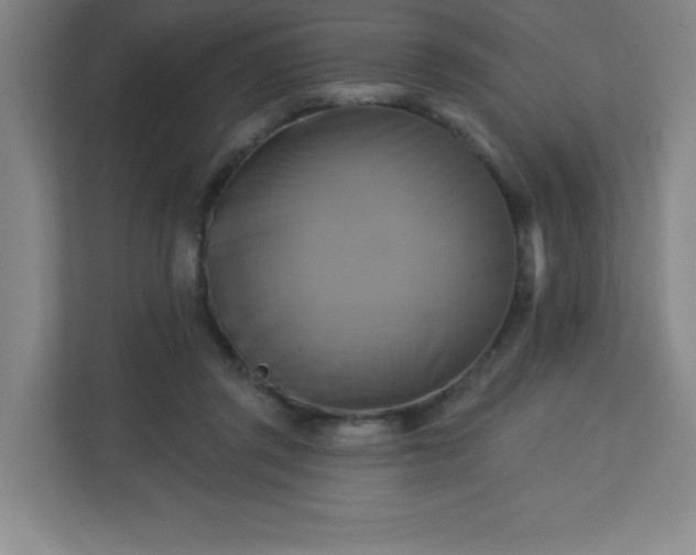 X0000113300357200909281109