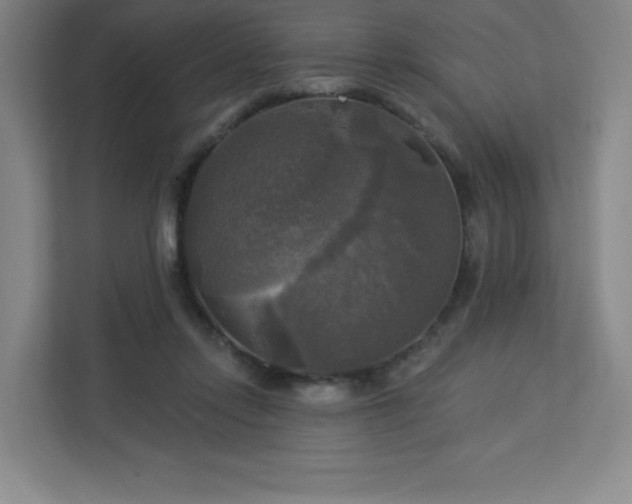 X0000113300358200909281109