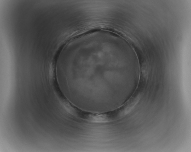 X0000113300359200909281109