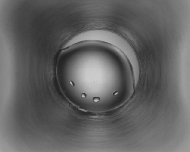 X0000113300362200909281109