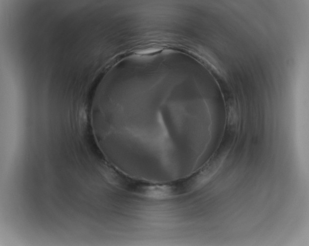 X0000113300363200909281109