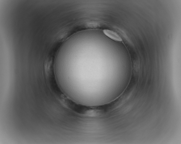 X0000113300364200909281109