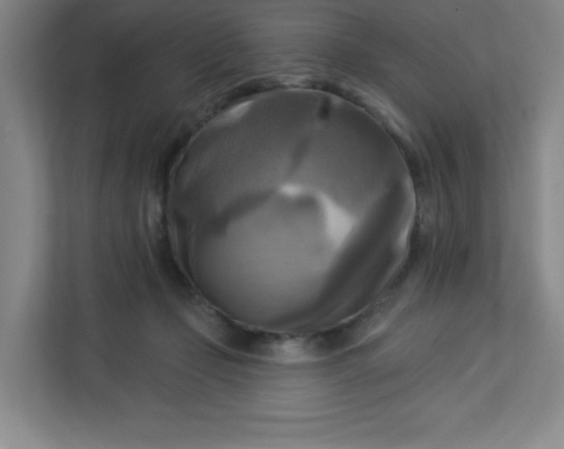 X0000113300365200909281109