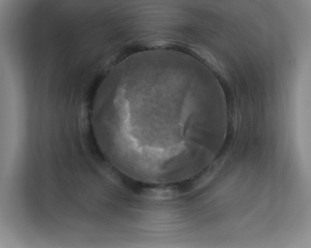 X0000113300366200909281109