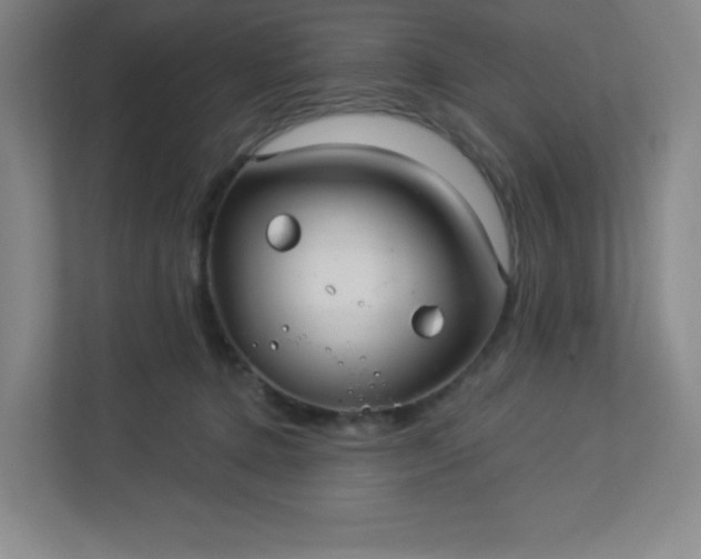 X0000113300368200909281109