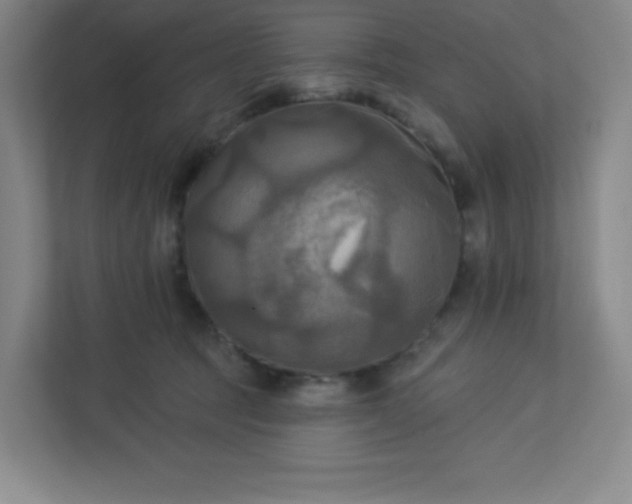 X0000113300369200909281109