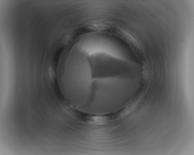 X0000113300371200909281109