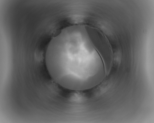 X0000113300372200909281109