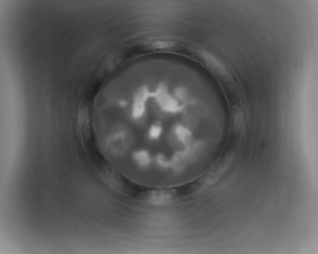 X0000113300373200909281109