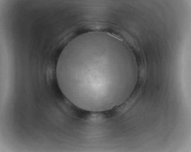 X0000113300376200909281109