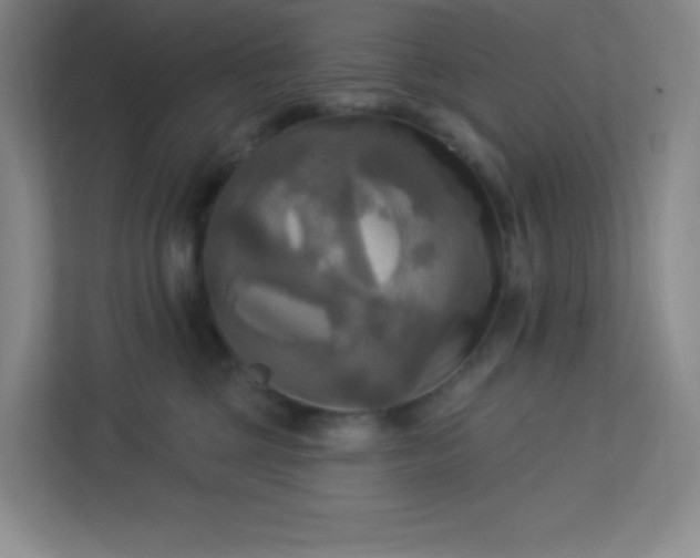 X0000113300377200909281109