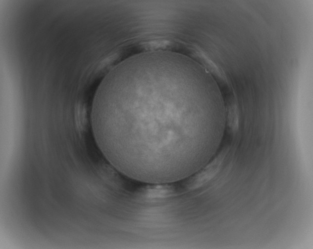 X0000113300378200909281109