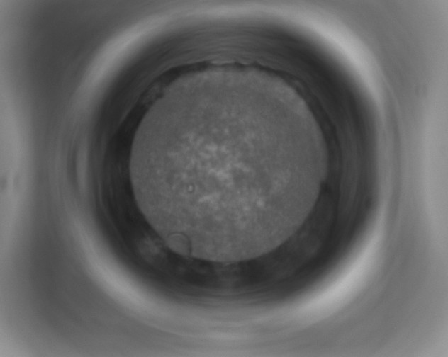 X0000113300382200909281109