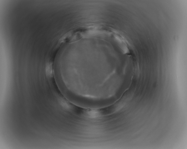 X0000113300383200909281109