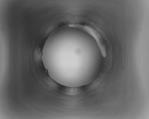 X0000113300384200909281109