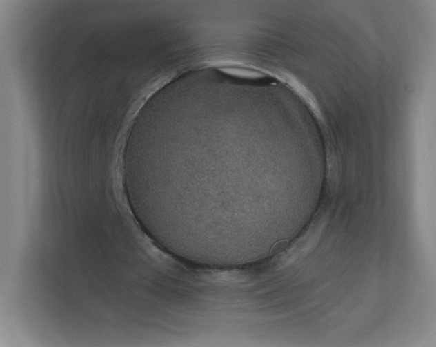 X0000113300385200909281109