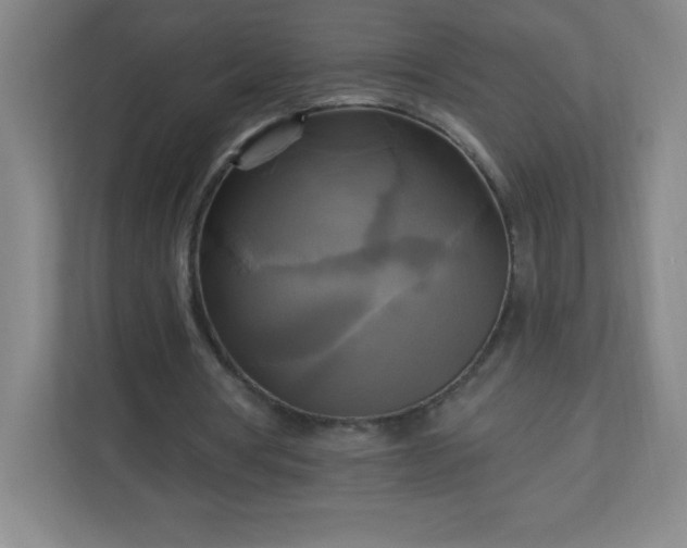 X0000113300386200909281108