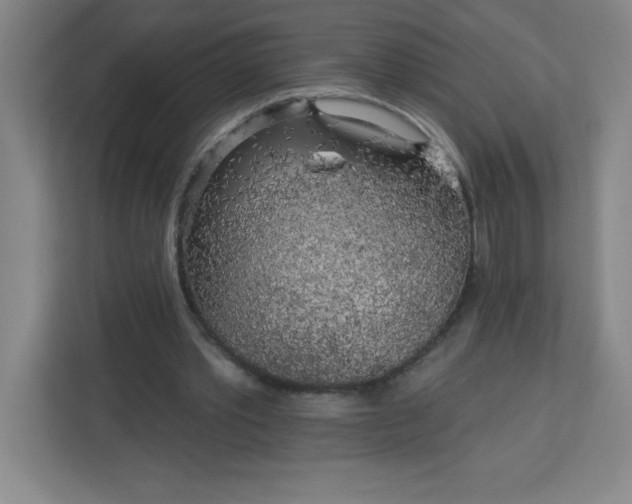 X0000113300389200909281108