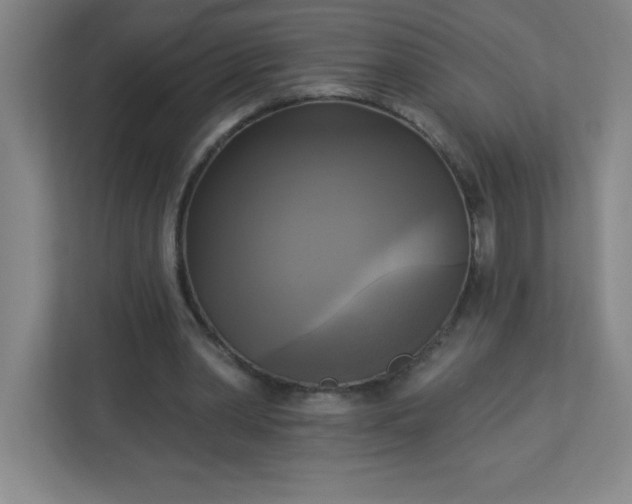 X0000113300390200909281108