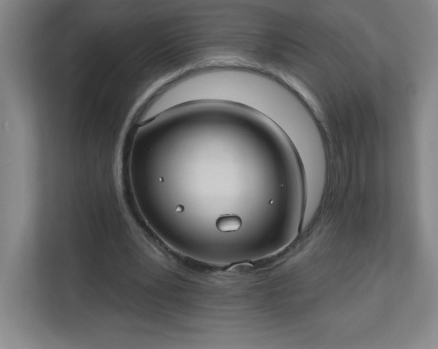 X0000113300391200909281108