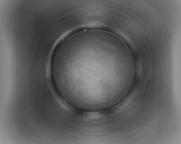 X0000113300392200909281108