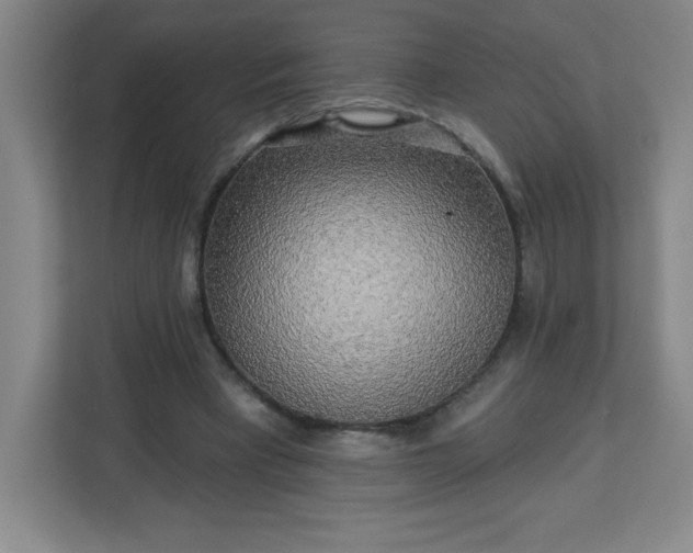 X0000113300393200909281108