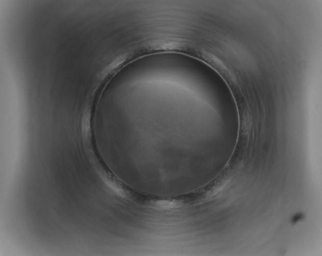 X0000113300394200909281108