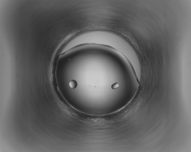 X0000113300395200909281108