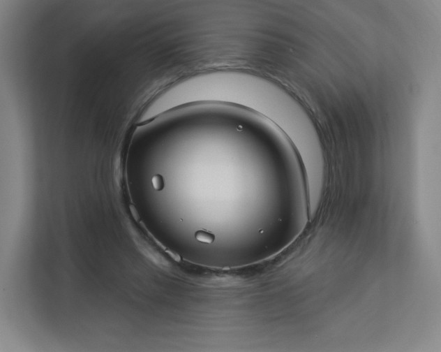 X0000113300397200909281108