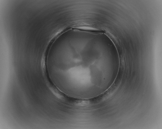 X0000113300398200909281108