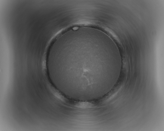 X0000113300399200909281108