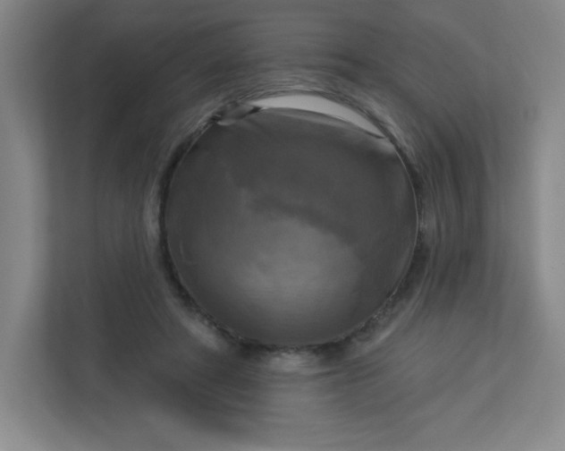 X0000113300402200909281108