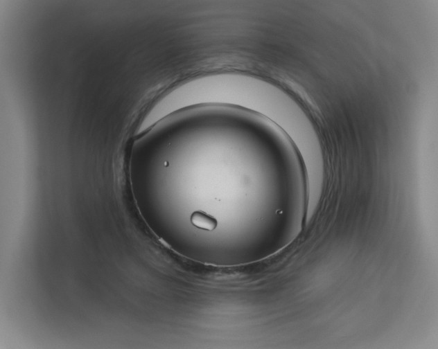 X0000113300403200909281108