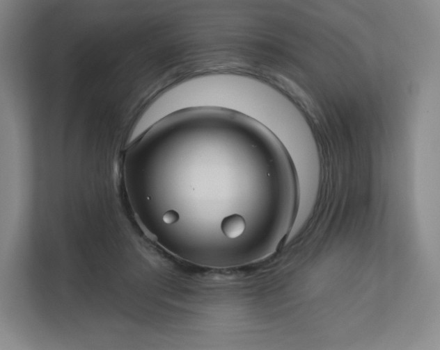 X0000113300405200909281108