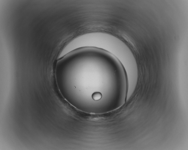 X0000113300407200909281108