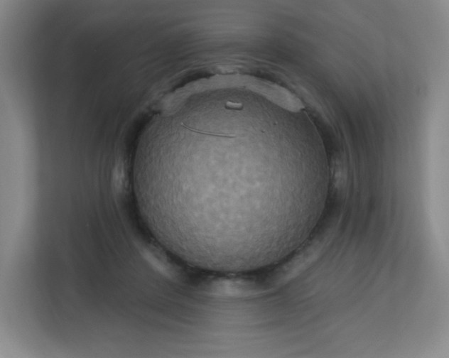 X0000113300408200909281108