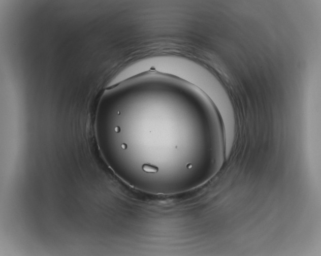 X0000113300411200909281108