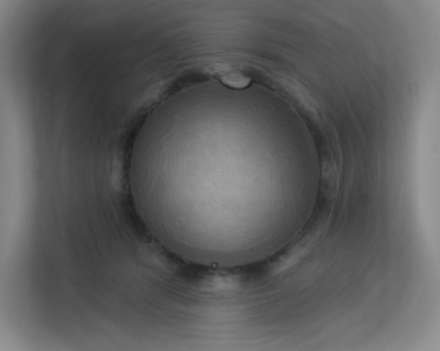 X0000113300416200909281108