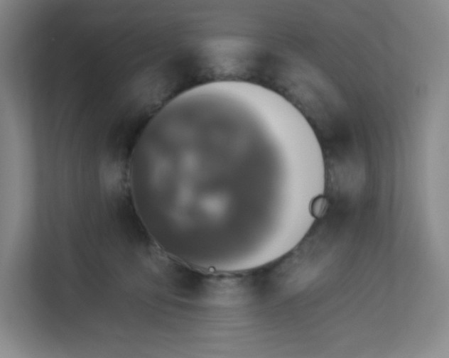 X0000113300419200909281108