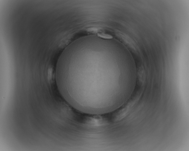 X0000113300420200909281108